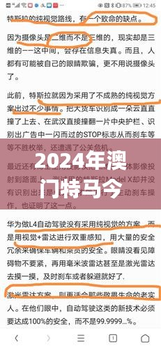 2024年澳门特马今晚,实践调查说明_XQE15.9