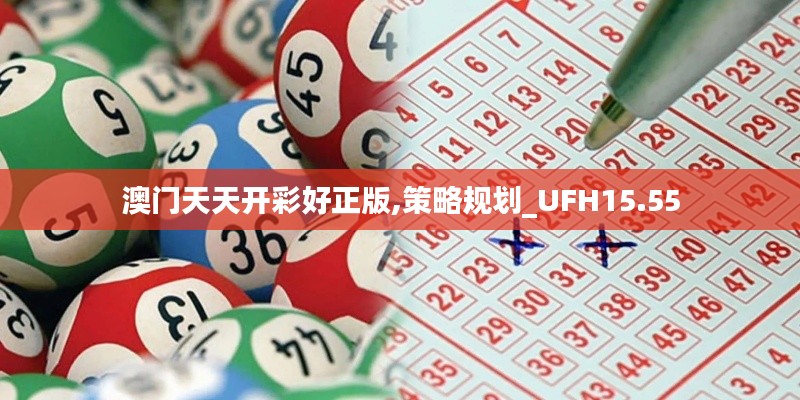 澳门天天开彩好正版,策略规划_UFH15.55