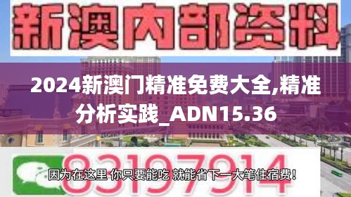 2024新澳门精准免费大全,精准分析实践_ADN15.36