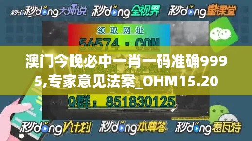 澳门今晚必中一肖一码准确9995,专家意见法案_OHM15.20