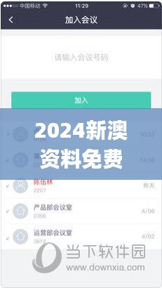 2024新澳资料免费资料大全,高效执行方案_IYN15.25