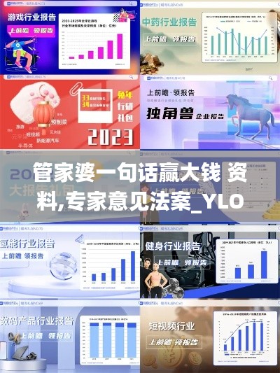 管家婆一句话赢大钱 资料,专家意见法案_YLO15.17