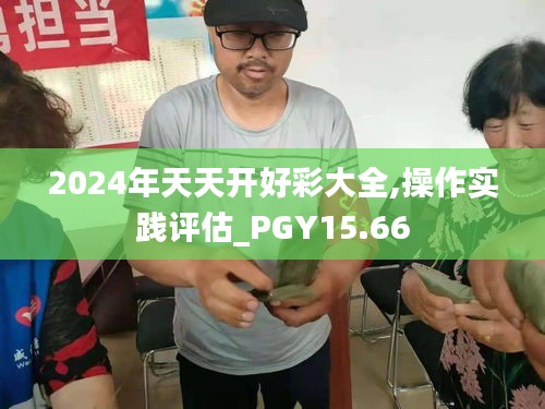 2024年天天开好彩大全,操作实践评估_PGY15.66