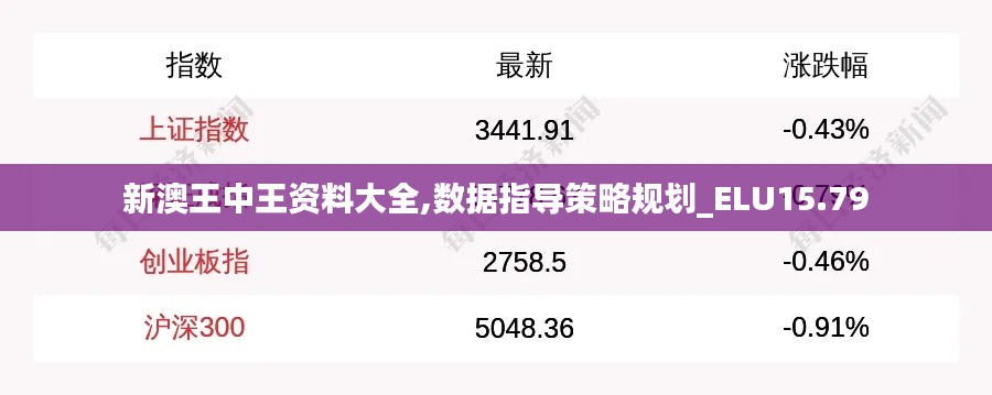 新澳王中王资料大全,数据指导策略规划_ELU15.79
