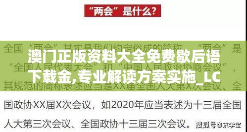 澳门正版资料大全免费歇后语下载金,专业解读方案实施_LCX15.53