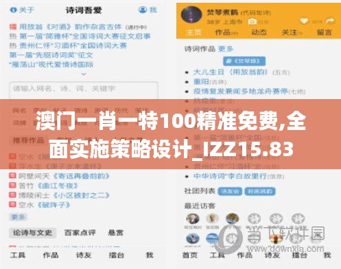 澳门一肖一特100精准免费,全面实施策略设计_IZZ15.83