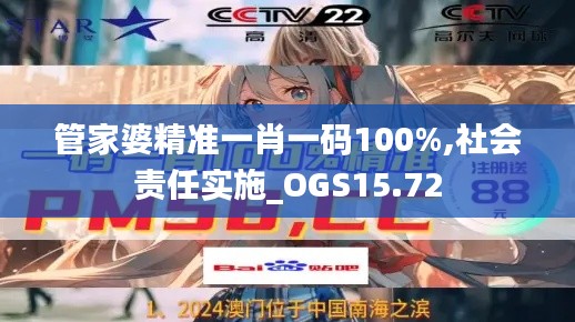 管家婆精准一肖一码100%,社会责任实施_OGS15.72