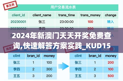 2024年新澳门天天开奖免费查询,快速解答方案实践_KUD15.94