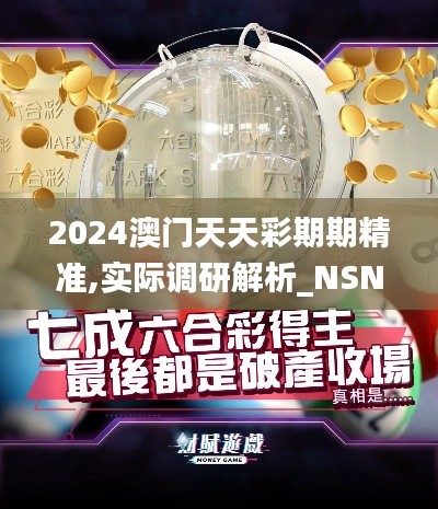 2024澳门天天彩期期精准,实际调研解析_NSN15.53