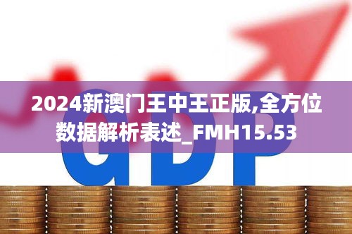 2024新澳门王中王正版,全方位数据解析表述_FMH15.53