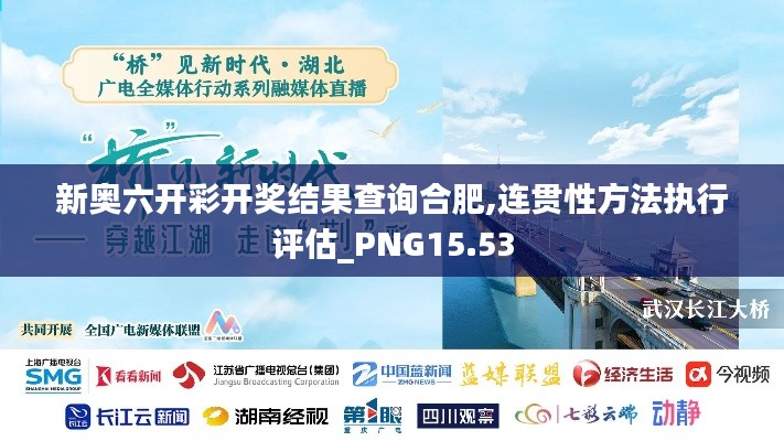 新奥六开彩开奖结果查询合肥,连贯性方法执行评估_PNG15.53