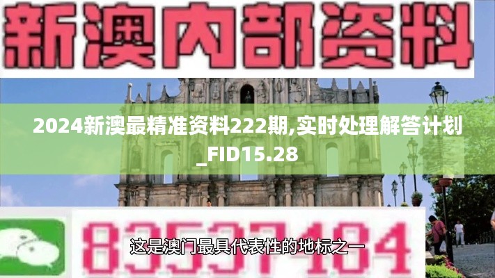 2024新澳最精准资料222期,实时处理解答计划_FID15.28