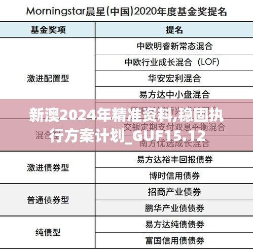 新澳2024年精准资料,稳固执行方案计划_GUF15.12