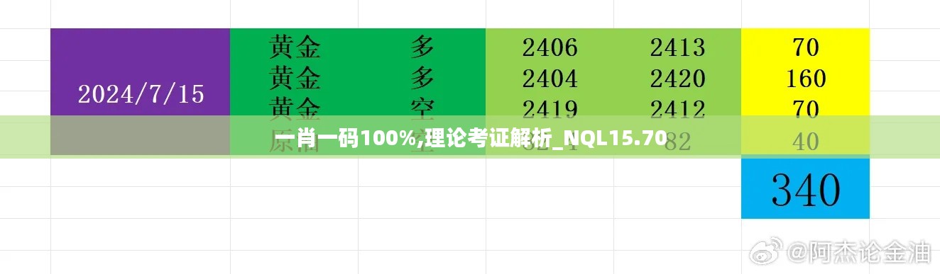 一肖一码100%,理论考证解析_NQL15.70