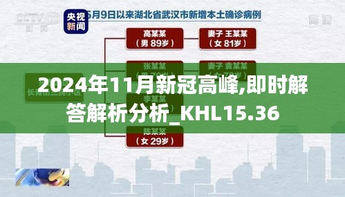 2024年11月新冠高峰,即时解答解析分析_KHL15.36