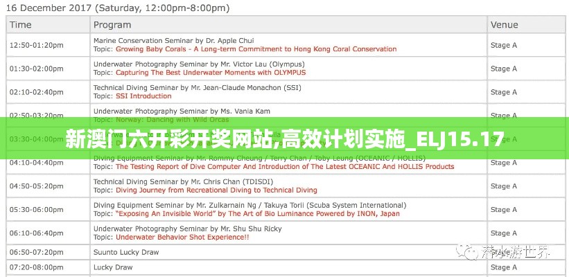 新澳门六开彩开奖网站,高效计划实施_ELJ15.17