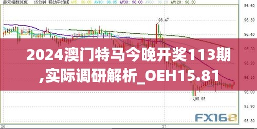 2024澳门特马今晚开奖113期,实际调研解析_OEH15.81