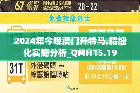 2024年今晚澳门开特马,精细化实施分析_QMH15.19