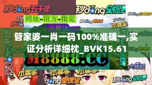 管家婆一肖一码100%准确一,实证分析详细枕_BVK15.61