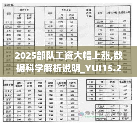 2025部队工资大幅上涨,数据科学解析说明_YUI15.29