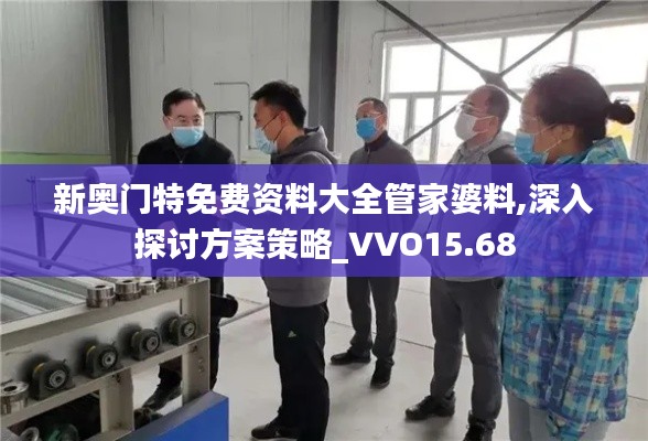 新奥门特免费资料大全管家婆料,深入探讨方案策略_VVO15.68