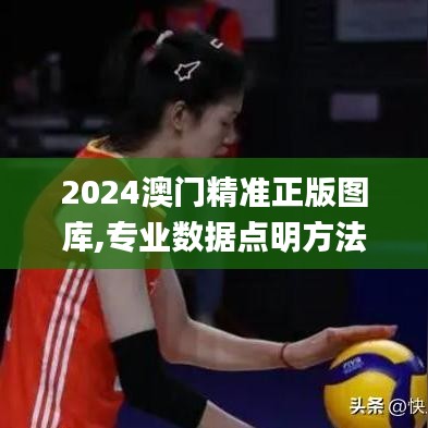 2024澳门精准正版图库,专业数据点明方法_NLB15.52