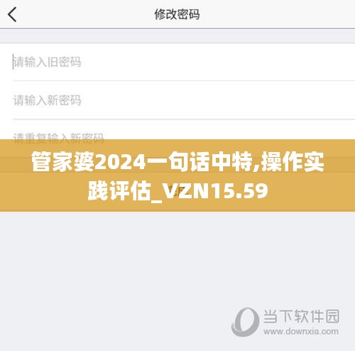 管家婆2024一句话中特,操作实践评估_VZN15.59