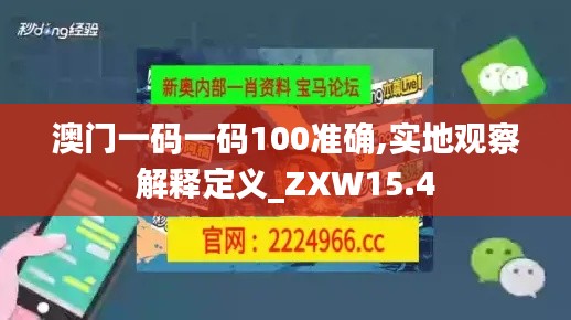 澳门一码一码100准确,实地观察解释定义_ZXW15.4