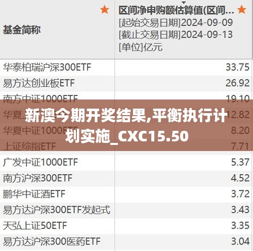 新澳今期开奖结果,平衡执行计划实施_CXC15.50