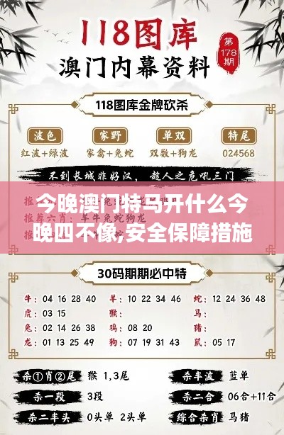 今晚澳门特马开什么今晚四不像,安全保障措施_ATE15.57