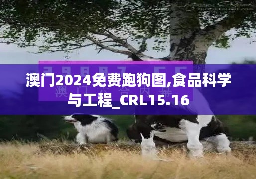 澳门2024免费跑狗图,食品科学与工程_CRL15.16