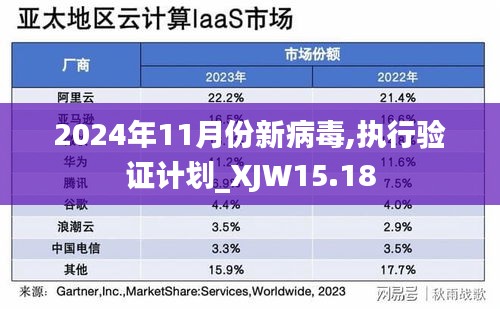 2024年11月份新病毒,执行验证计划_XJW15.18