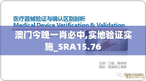 澳门今晚一肖必中,实地验证实施_SRA15.76