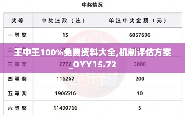 王中王100%免费资料大全,机制评估方案_OYY15.72