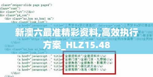 新澳六最准精彩资料,高效执行方案_HLZ15.48