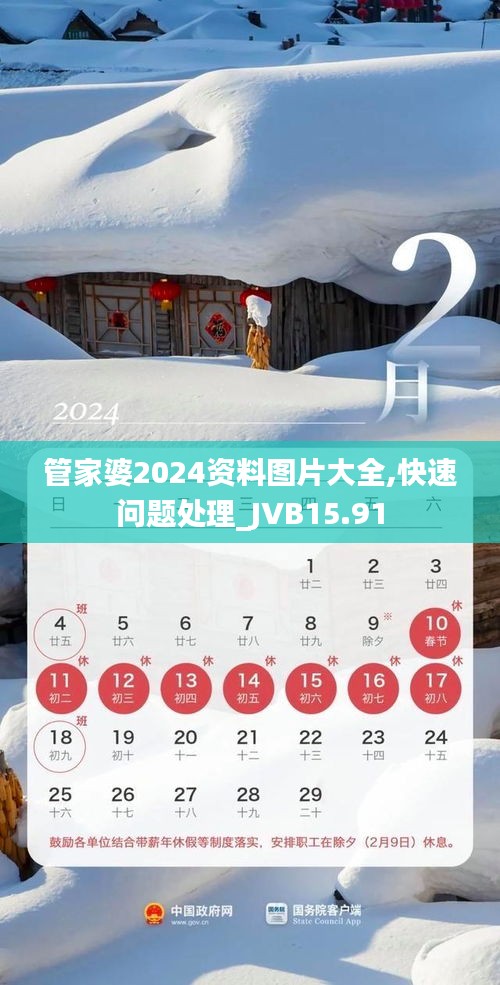 管家婆2024资料图片大全,快速问题处理_JVB15.91