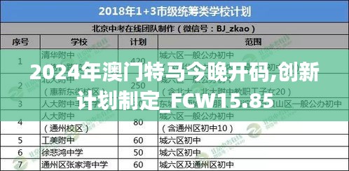 2024年澳门特马今晚开码,创新计划制定_FCW15.85