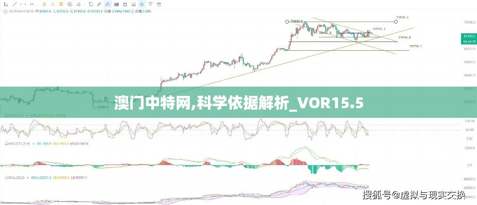 澳门中特网,科学依据解析_VOR15.5