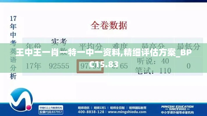 王中王一肖一特一中一资料,精细评估方案_BPC15.83