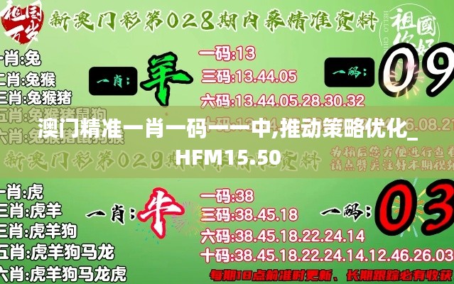 澳门精准一肖一码一一中,推动策略优化_HFM15.50