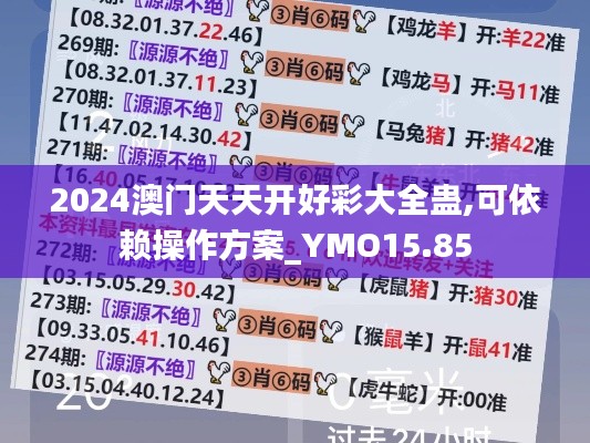 2024澳门天天开好彩大全蛊,可依赖操作方案_YMO15.85