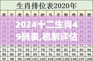 2024十二生肖49码表,机制评估方案_WXM15.55