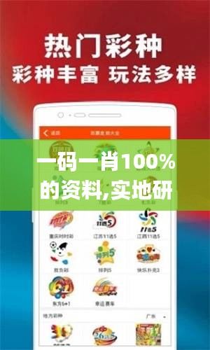 一码一肖100%的资料,实地研究解答协助_AED15.70