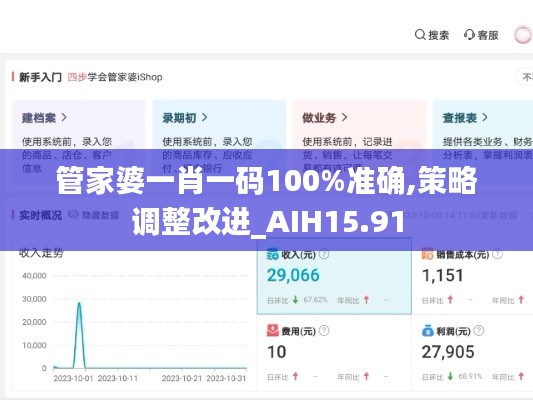 管家婆一肖一码100%准确,策略调整改进_AIH15.91