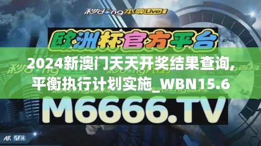 2024新澳门天天开奖结果查询,平衡执行计划实施_WBN15.6