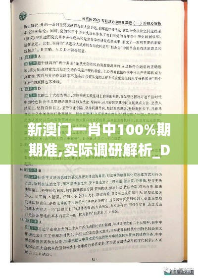 新澳门一肖中100%期期准,实际调研解析_DKL15.61