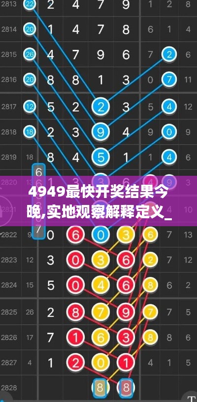 4949最快开奖结果今晚,实地观察解释定义_JBE15.62