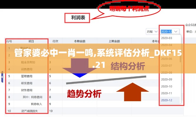 管家婆必中一肖一鸣,系统评估分析_DKF15.21