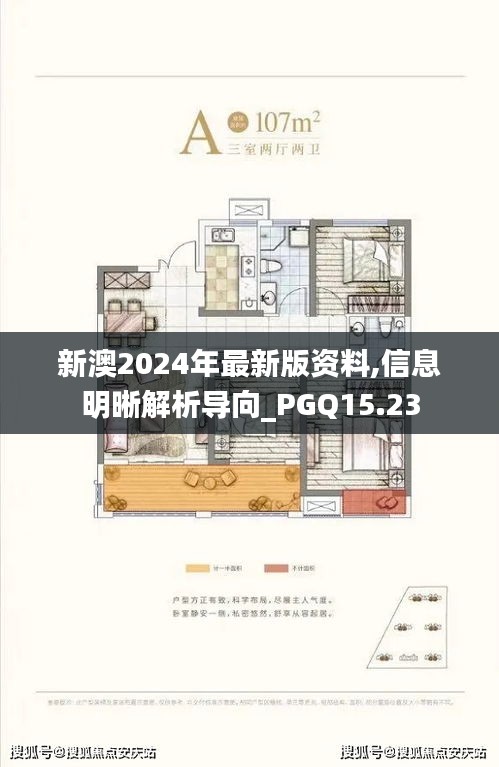 新澳2024年最新版资料,信息明晰解析导向_PGQ15.23