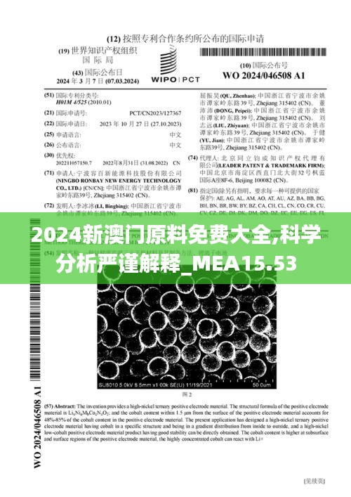 2024新澳门原料免费大全,科学分析严谨解释_MEA15.53